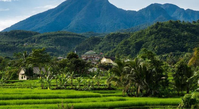 D'Anaya Hotel Bogor Eksteriør billede